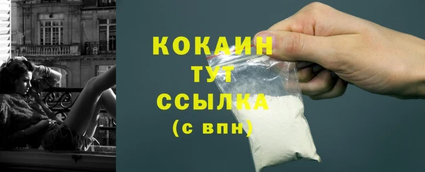 тгк Арсеньев